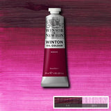 Winsor & Newton - Winton Oil Colours 37ml