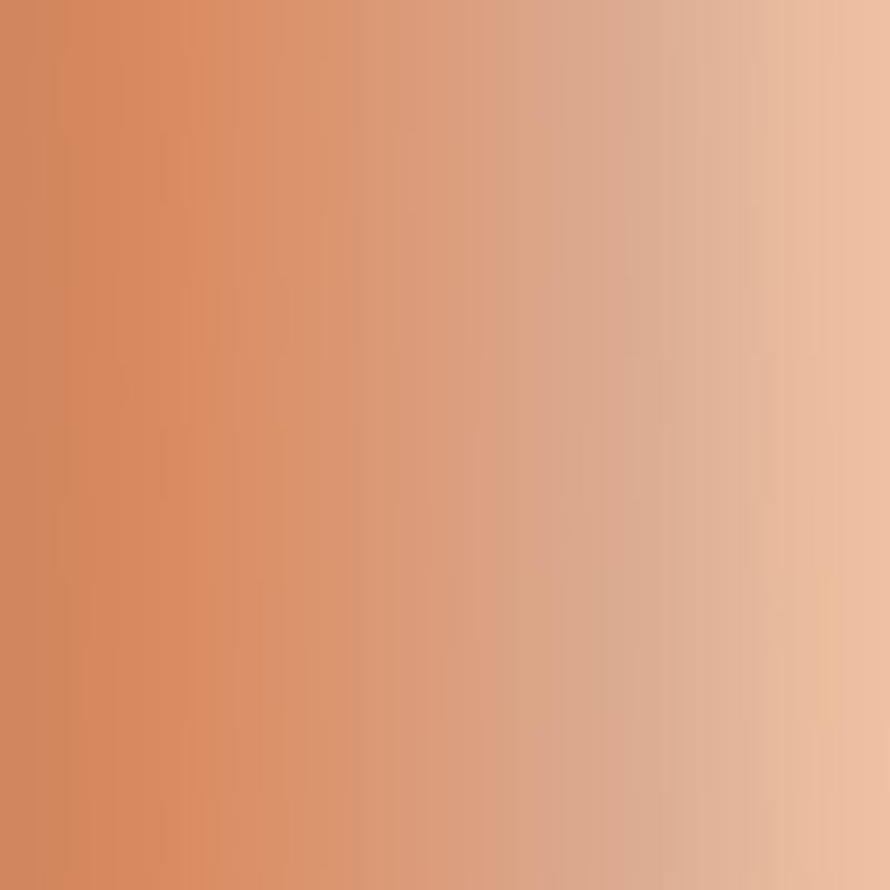 Createx - Peinture pour aérographe - PÊCHE (2 oz)