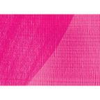 Liquitex Basics - Vernis 250 ml 