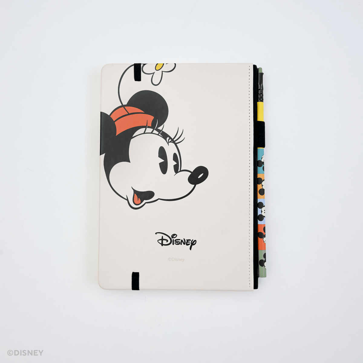 Blackwing - "Mickey and Friends" Notebook - Mickey & Minnie Mouse