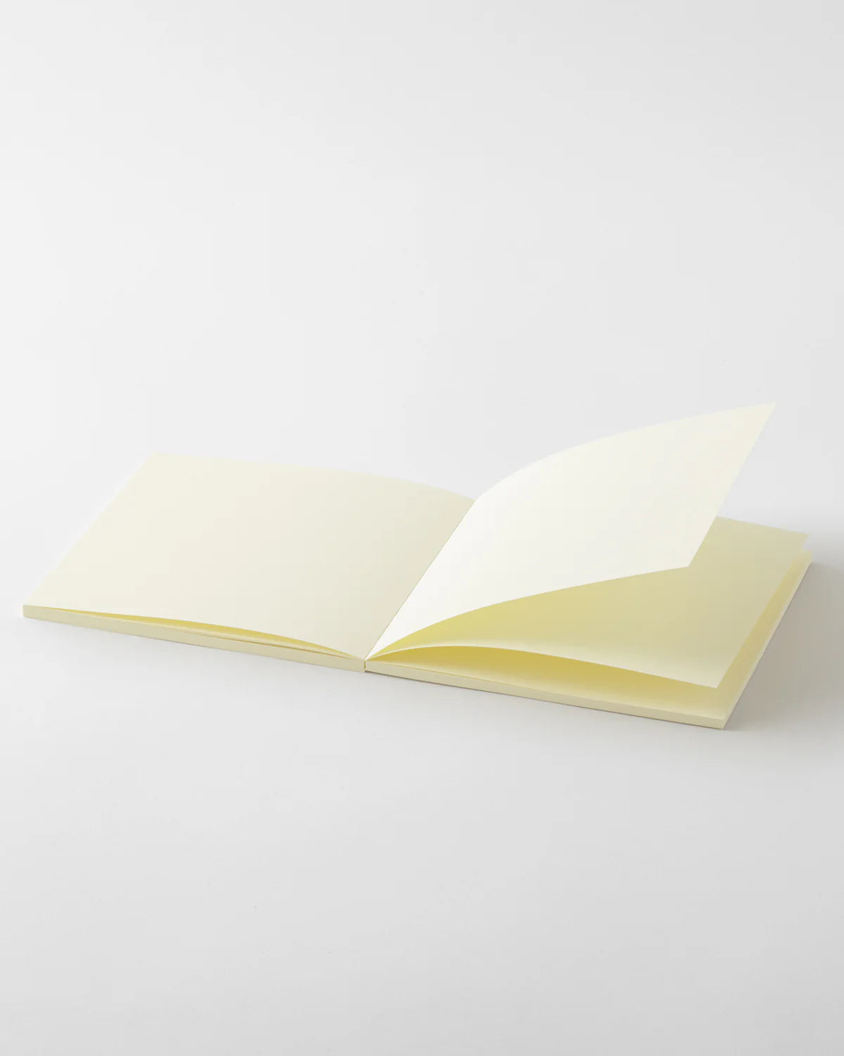 Midori - MD Thick Notebook Blank