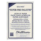 Masterson - Sta-Wet Super Pro Palette & Accessories 10"x 14.5"