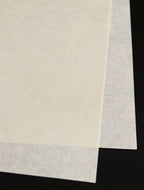Kozuke Ivory Paper (Sized)