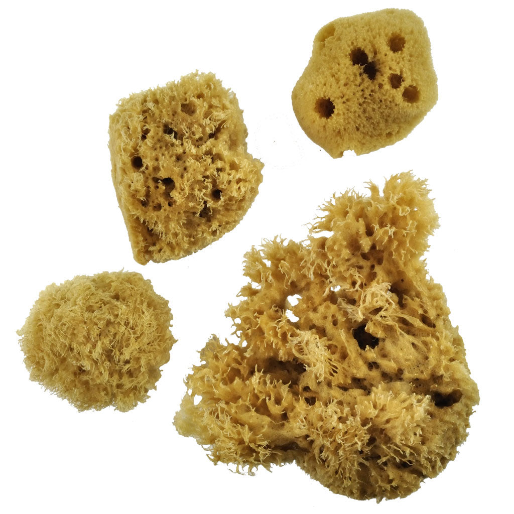 Royal Brush - Combination Sea Sponges 4pk
