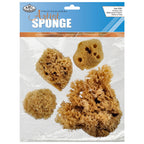 Royal Brush - Combination Sea Sponges 4pk