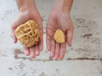 Royal Brush - Sea Wool Sponges