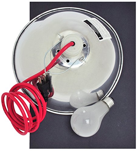 Speedball - Kit d'éclairage