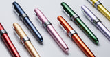 Platinum - Plaisir G Pack Fountain Pen