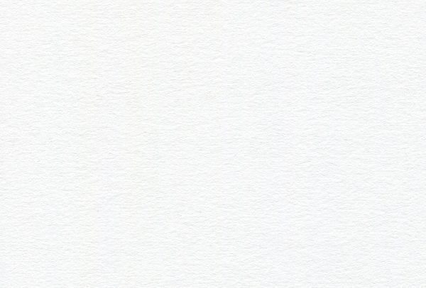 Canson - Pure White Dessin 200 Drawing Sheet