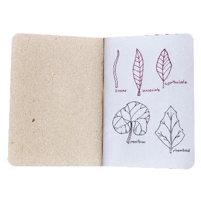 Sakura - Pigma Micron PN Plastic Nib Pens - Black