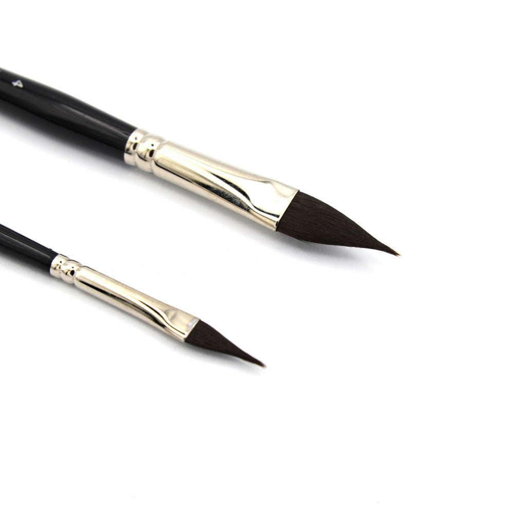 Pinceau pointu en forme de langue de chat pour aquarelle