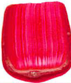 Museum Acrylic - 5 Tubes Set