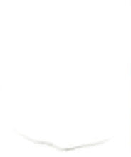 Museum - Acrylic Paint 473ml