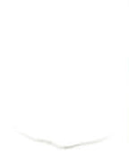 Museum - Acrylic Paint 473ml